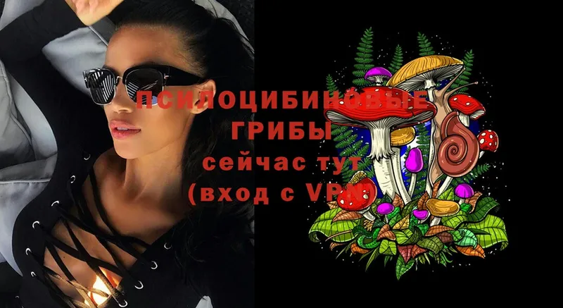 Галлюциногенные грибы Magic Shrooms  гидра tor  Уржум 